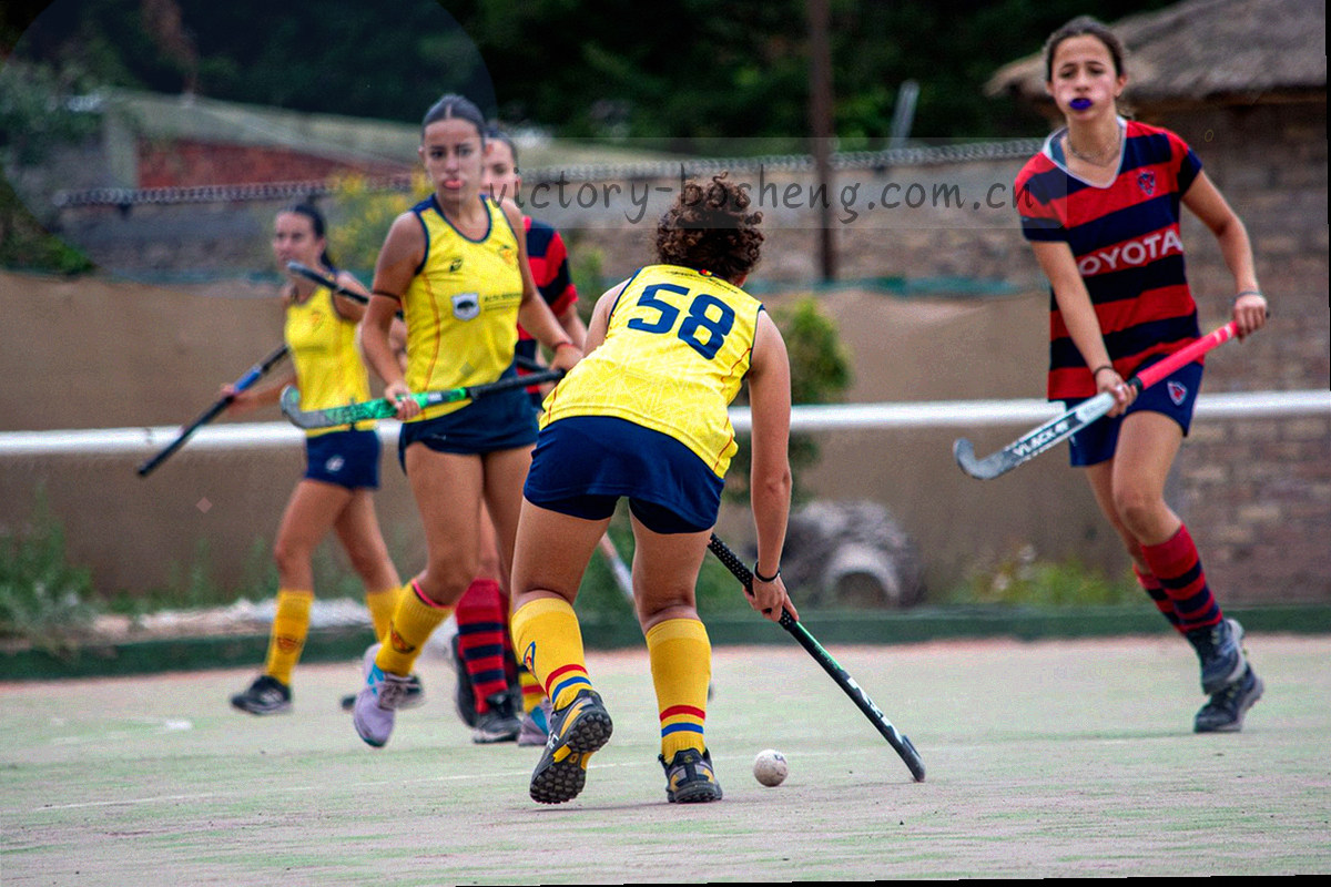 笔记本电脑屏幕上的标准版页面排布示意，栏目纵向依次排列，画面干净无人物